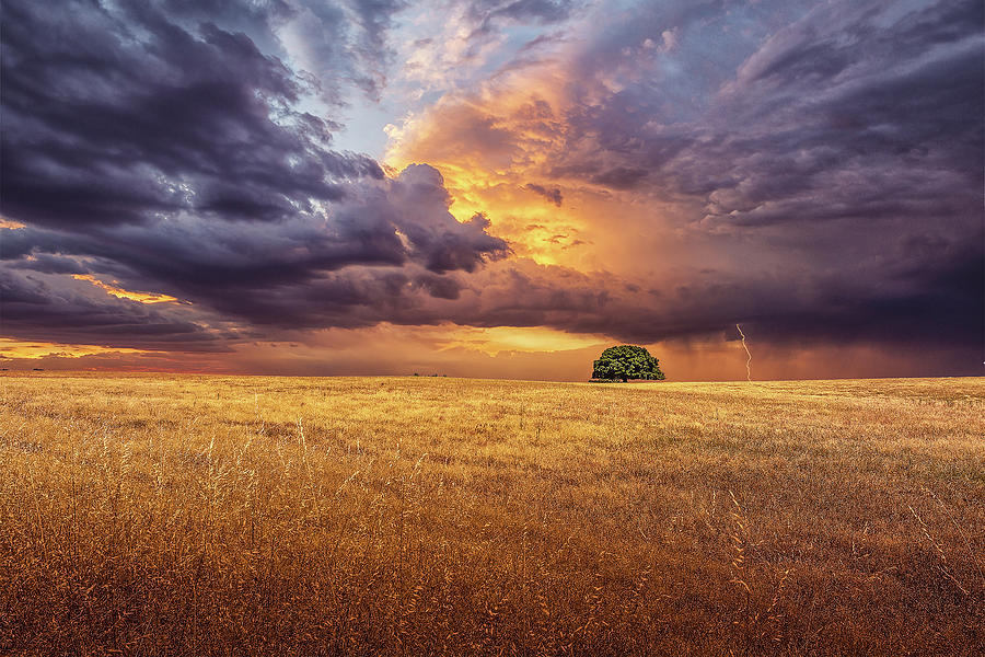 Lightning Photograph - Alone by Ant??nio Bernardino Coelho Lightning Photograph - Alone by Ant??nio Bernardino Coelho