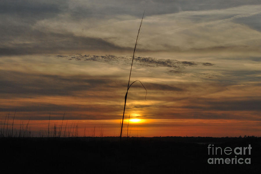 Alone at Sunset Photograph by Bob Sample
