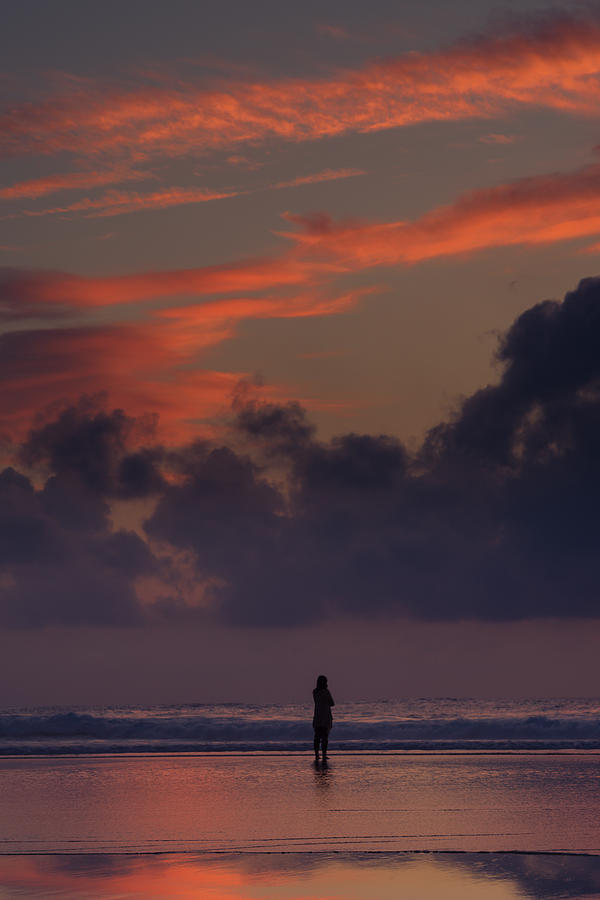 Alone At Sunset II Photograph by Marco Oliveira