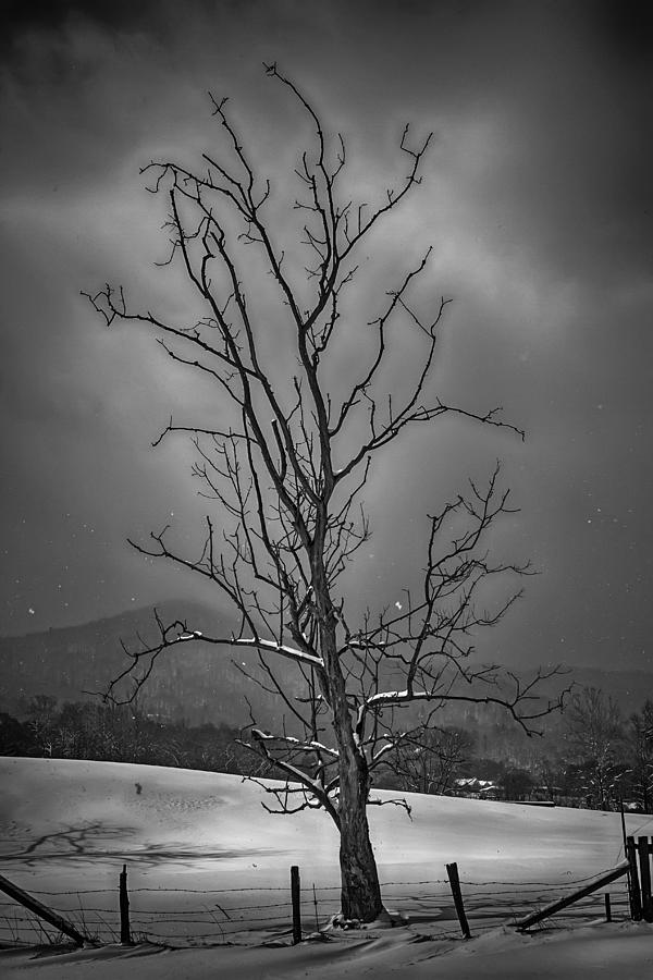 Alone at the End of the Storm Photograph by John Haldane