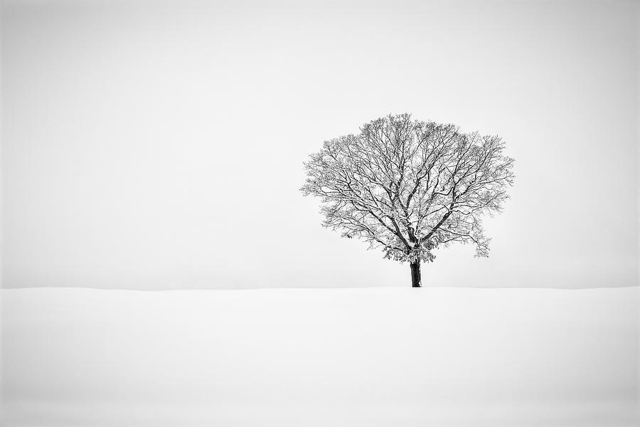 Black And White Photograph - Alone by Eduard Moldoveanu