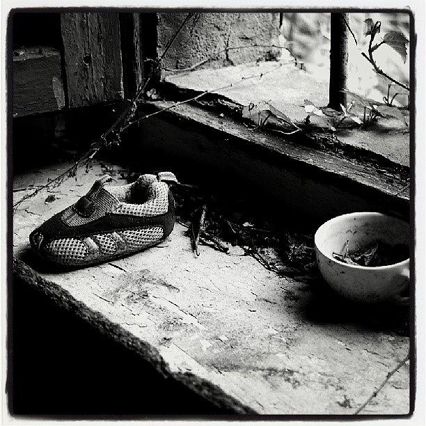Cup Photograph - Alone  by Gabriele Zucchella