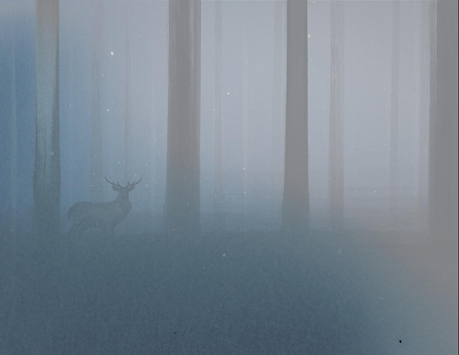 Deer Digital Art - Alone in the Woods by Tim Ford