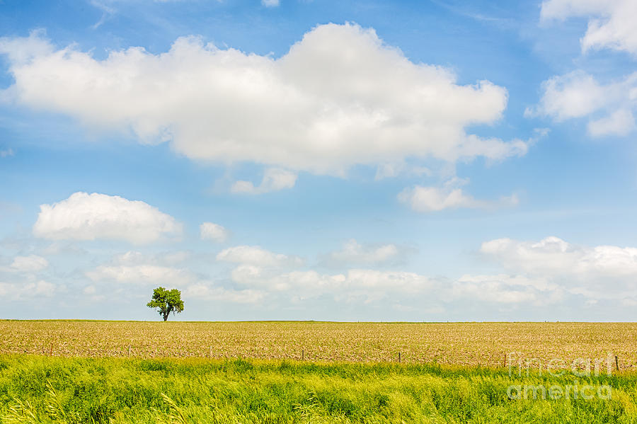 Alone Photograph by Nicholas Pappagallo Jr | Fine Art America