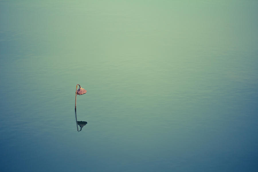 Alone Photograph - Alone by Shane Holsclaw