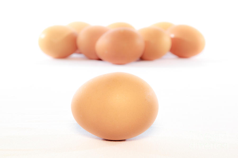 Still Life Photograph - Alonegg by Eugenio Moya Still Life Photograph - Alonegg by Eugenio Moya