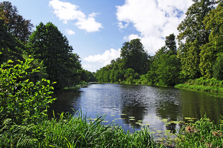 Along Mere Pond - Calke Park Photograph by Rod Johnson Along Mere Pond - Calke Park Photograph by Rod Johnson