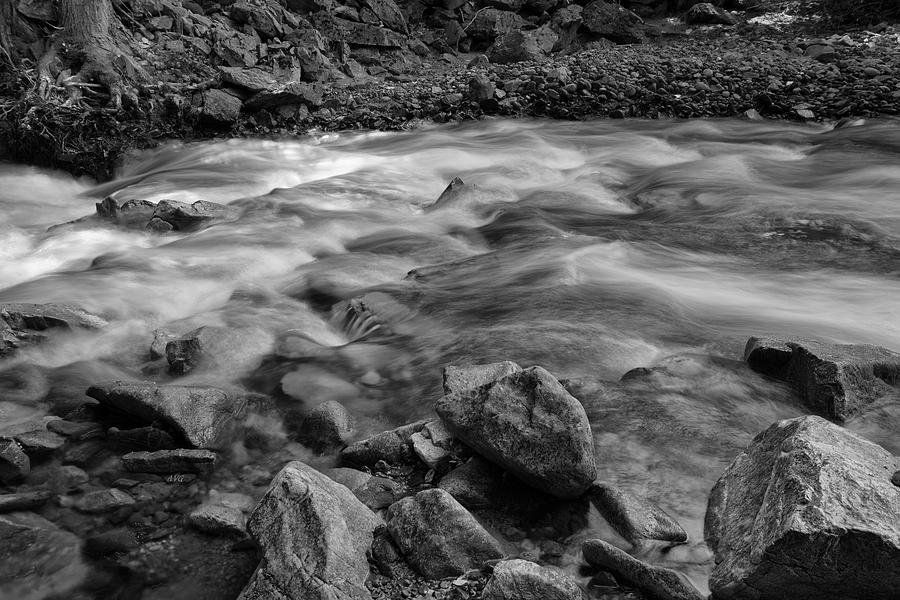 Along Shorts Creek Black and White Photograph by Allan Van Gasbeck