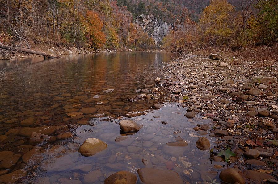 Along the Autumn Stream Photograph by Renee Hardison