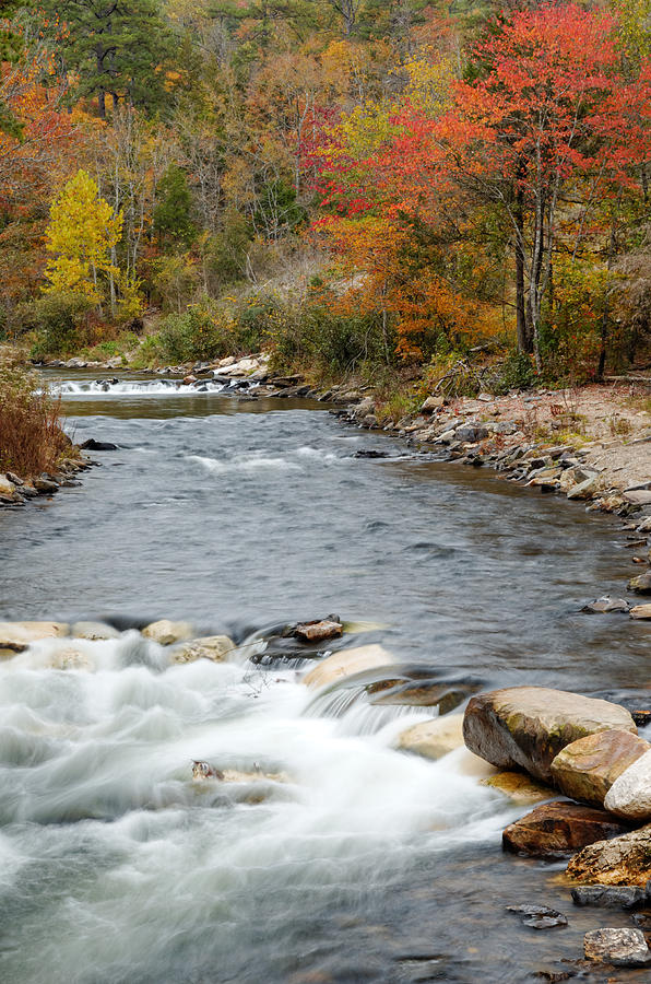 Along the banks of the Mountain Fork River Photograph by Silvio Ligutti