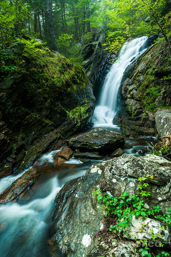 Waterfall - Along the Borderlands Photograph by JG Coleman