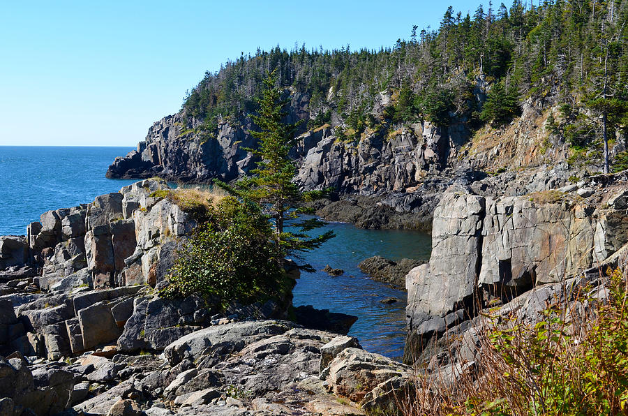 Along The Craggy Maine Coast Photograph by Jeffrey Hamilton