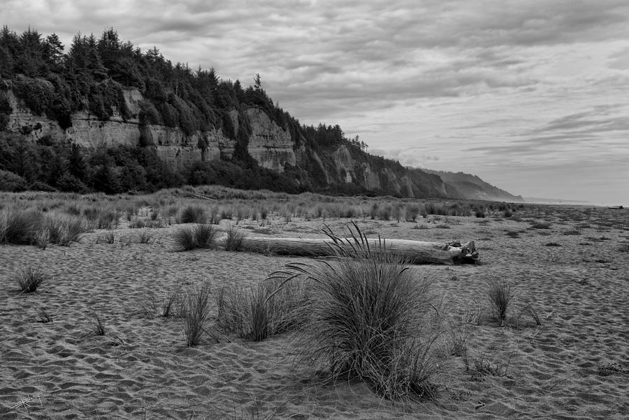 Beach Photograph - Along the Golden Bluffs by Ed Kelley