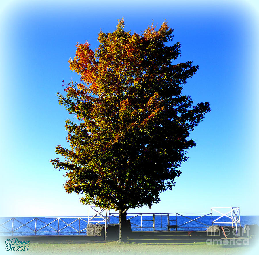Lake Ontario Photograph - Along The Lake by Rennae Christman Lake Ontario Photograph - Along The Lake by Rennae Christman