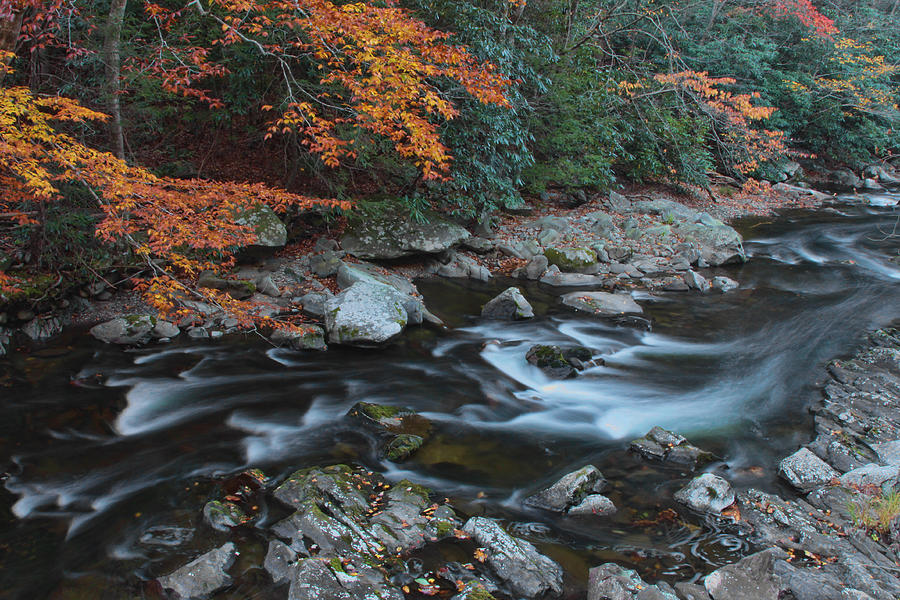 Fall Photograph - Along the Little River by Shari Jardina