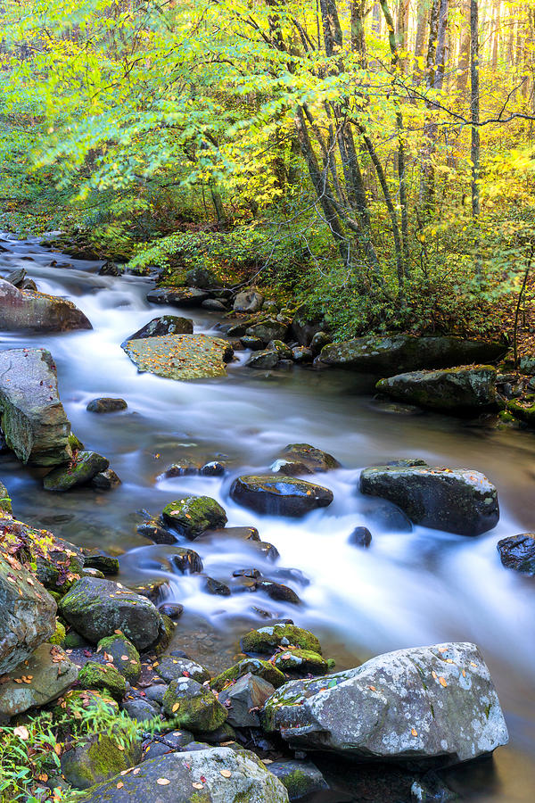 Fall Photograph - Along the Oconaluftee River by Andres Leon