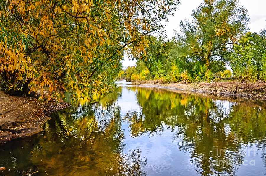 Fall Photograph - Along the Poudre by Baywest Imaging