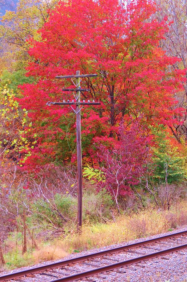 Along The Railroad in PA Photograph by Jeanette Oberholtzer