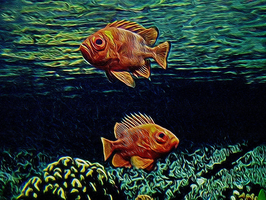 Along the Reef Digital Art Digital Art by Ernest Echols