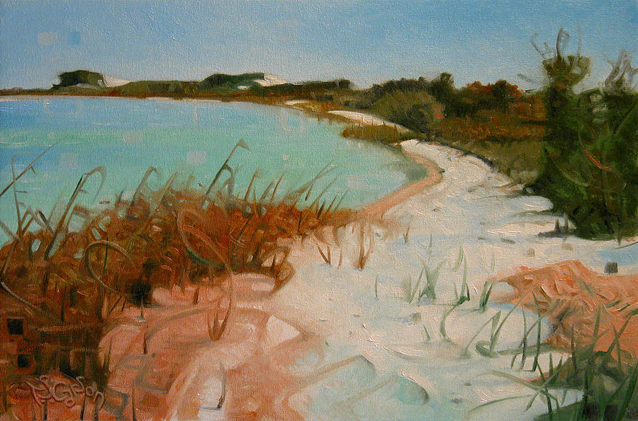 Along the Shore Painting by T S Carson