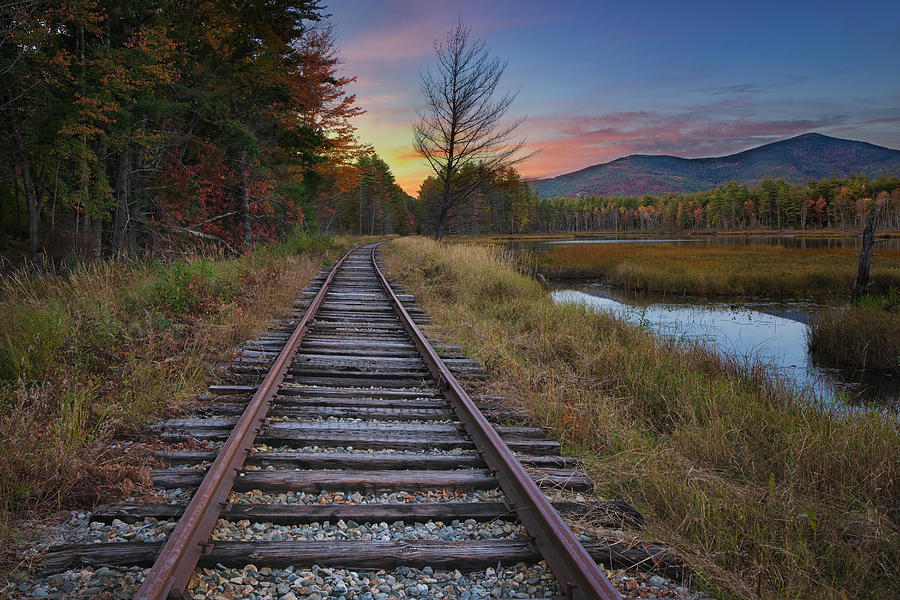 Along the Tracks Photograph by Darylann Leonard Photography