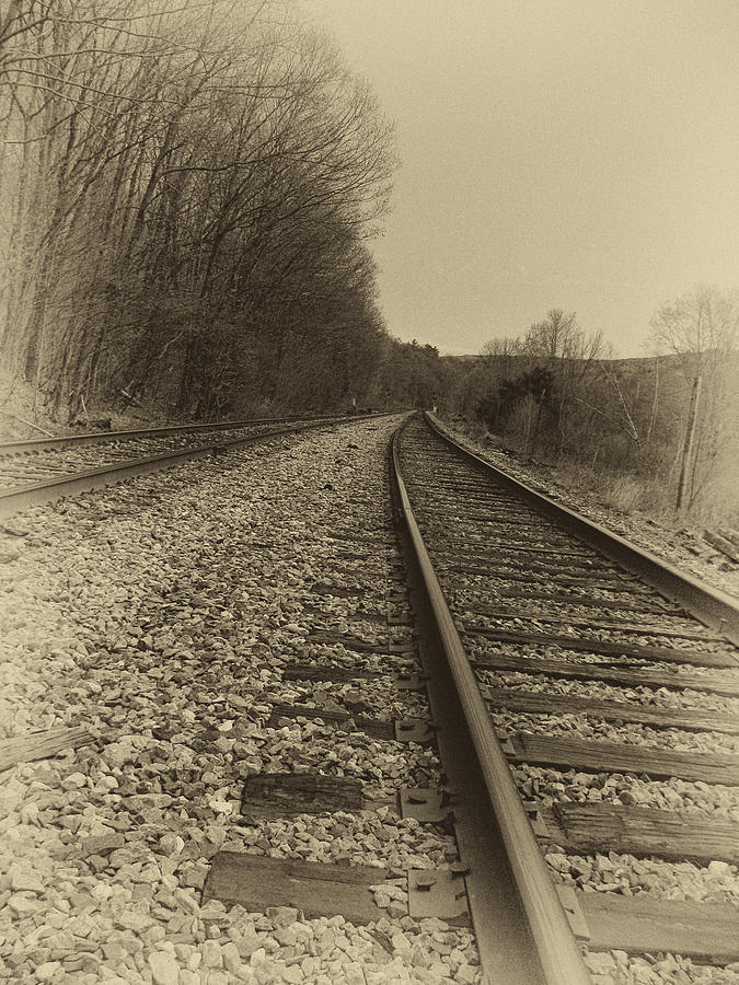 Along The Tracks Photograph by Gary Blackman