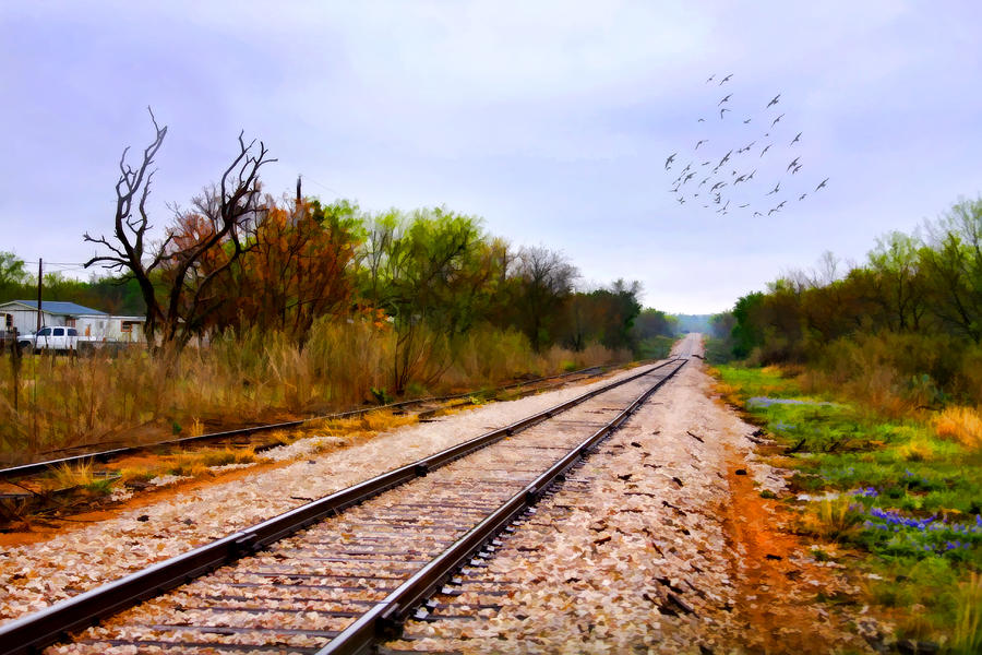 Along the Tracks Photograph by Joan Bertucci
