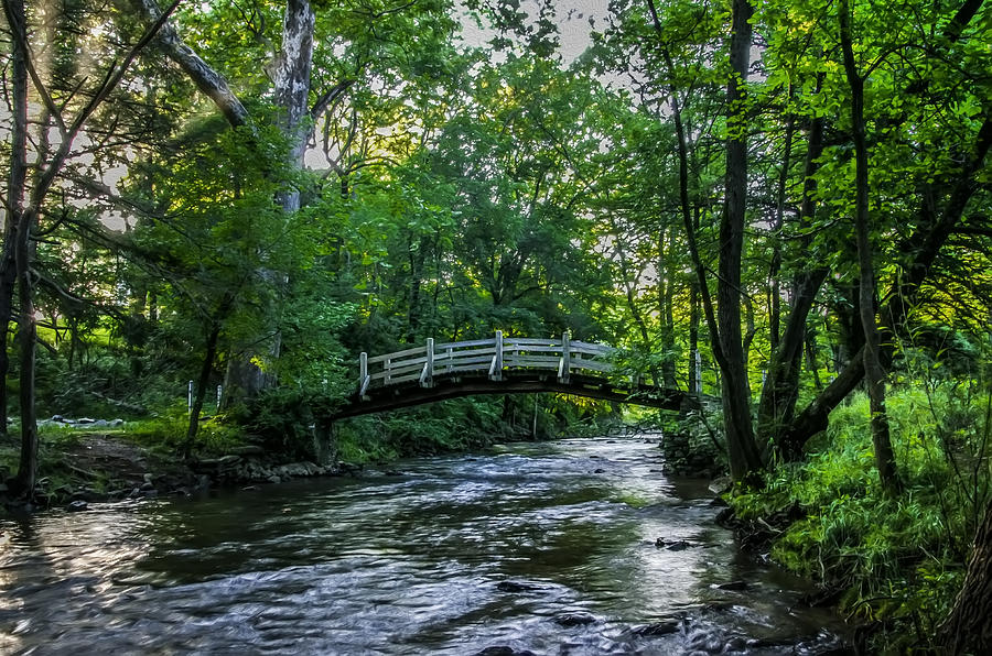 Along Valley Creek at Valley Forge Photograph by Bill Cannon - Fine Art ...