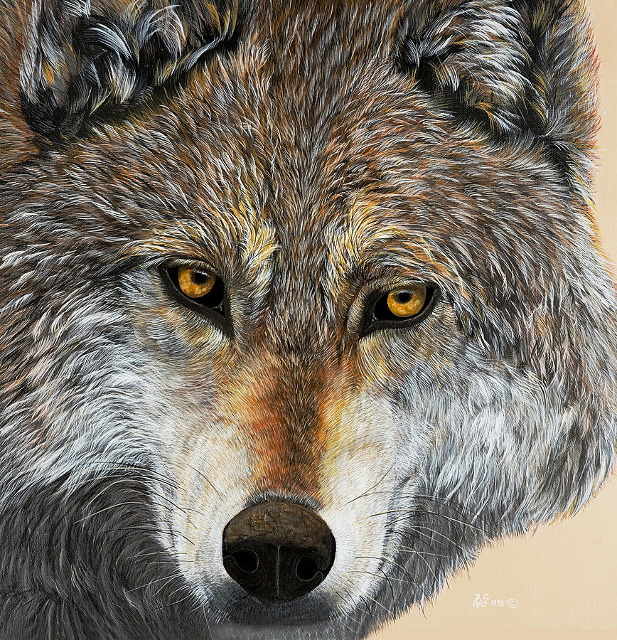 Alpha Male Painting By Debbie Chamberlin