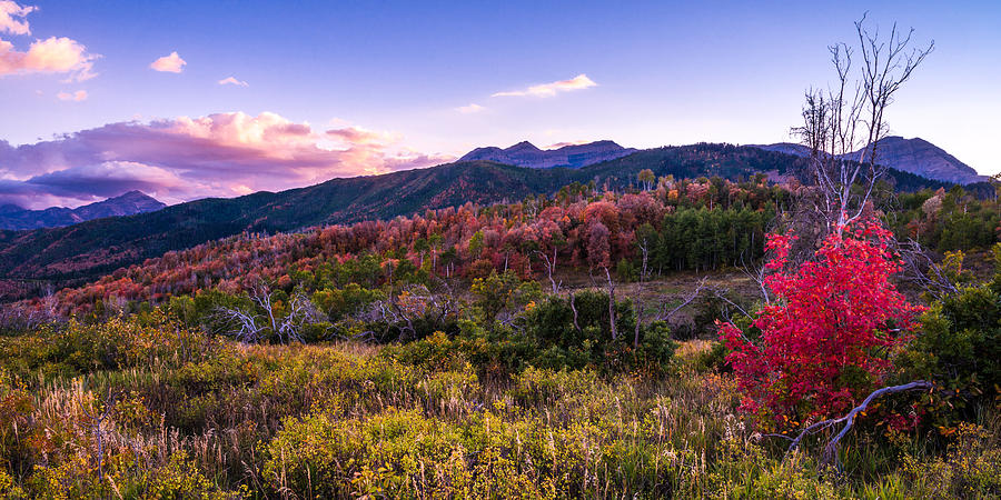Sunset Photograph - Alpine Fall by Chad Dutson