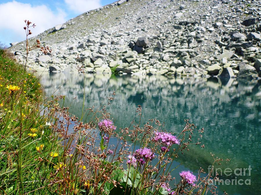 Alpine Lake and Flora Photograph by Cristina Stefan