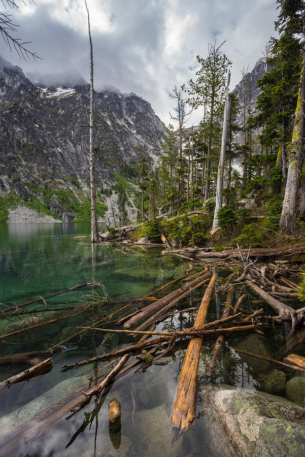 Alpine Lakes Logjam Photograph by Mike Reid