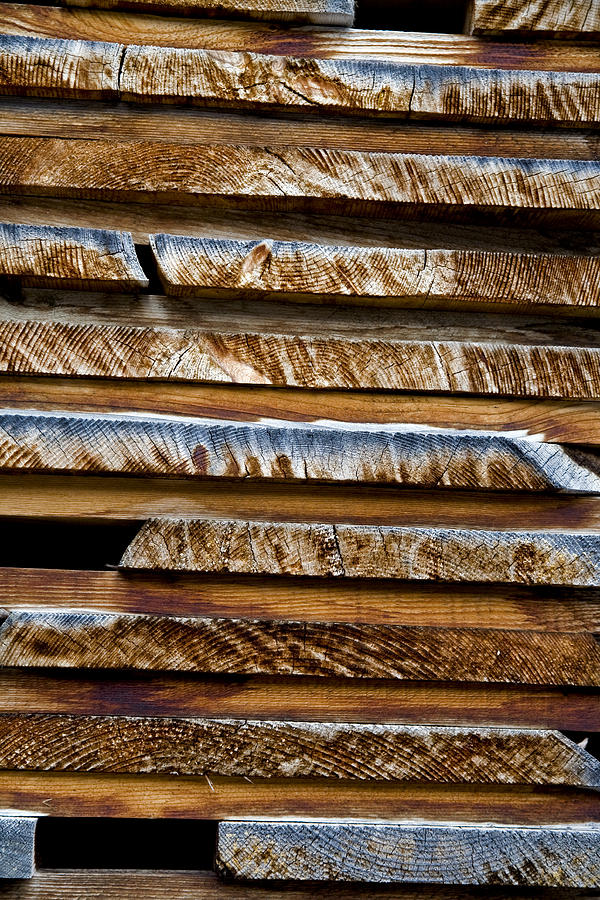Lumber Photograph - Alpine Lumber by Frank Tschakert