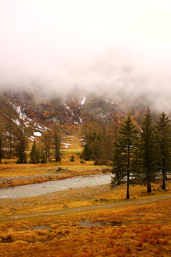 Nature Photograph - Alpine Mist by Saya Studios