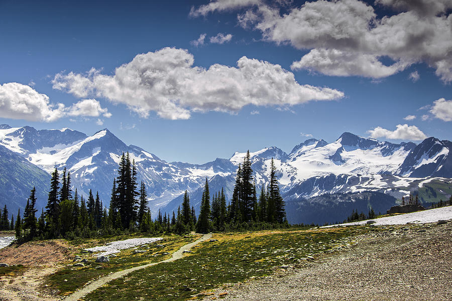 Mountain Photograph - Alpine Path by Aaron Bedell