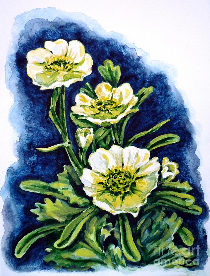 Alpine Ranunculus Painting by Zaira Dzhaubaeva