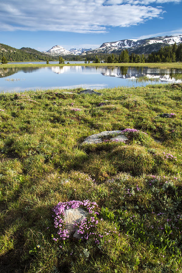 Alpine Reflection Photograph by D Robert Franz