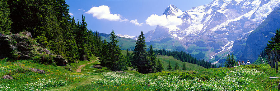 Mountain Photograph - Alpine Scene Near Murren Switzerland by Panoramic Images