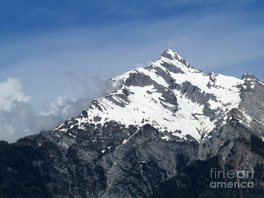 Alpine View Photograph by Lynellen Nielsen