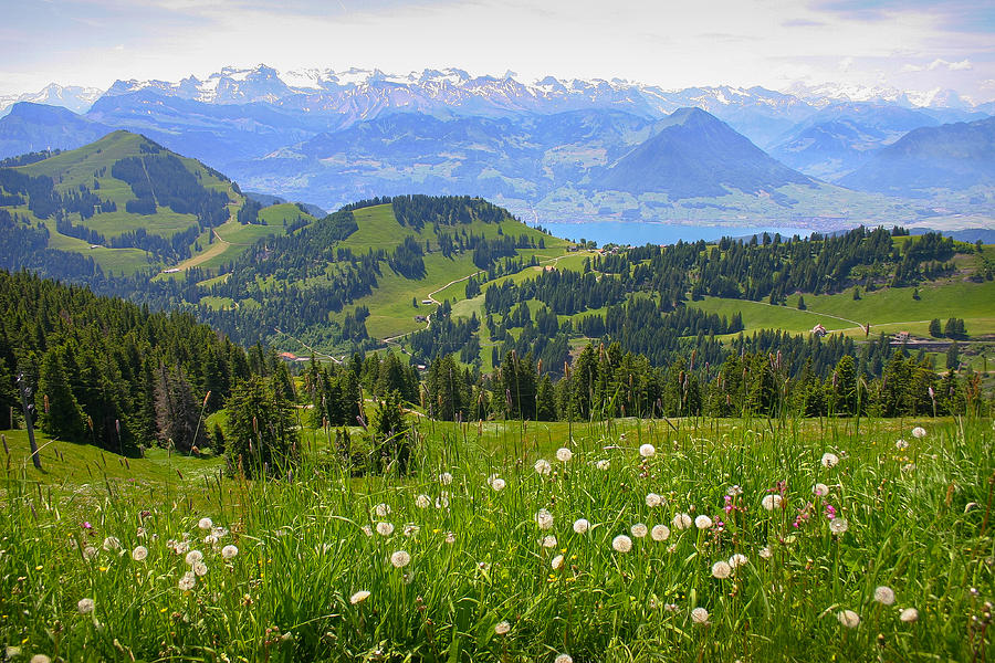 Alps from the Rigi Photograph by Jenny Setchell