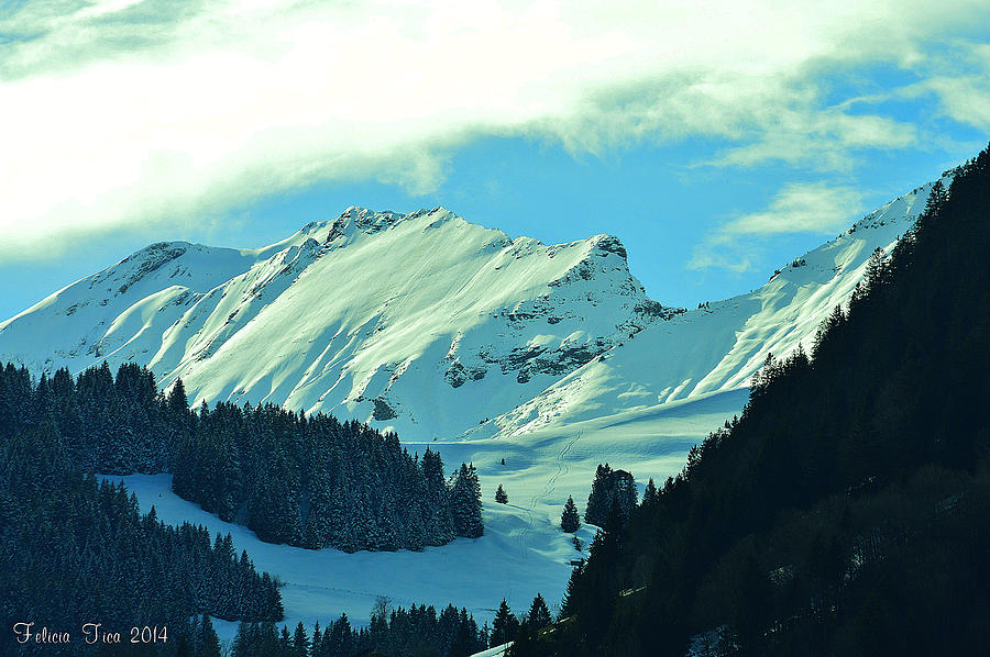 Alps green profile Photograph by Felicia Tica