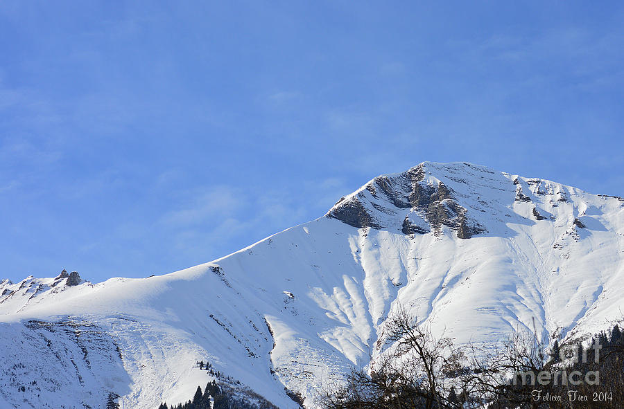 Alps Vista  Photograph by Felicia Tica