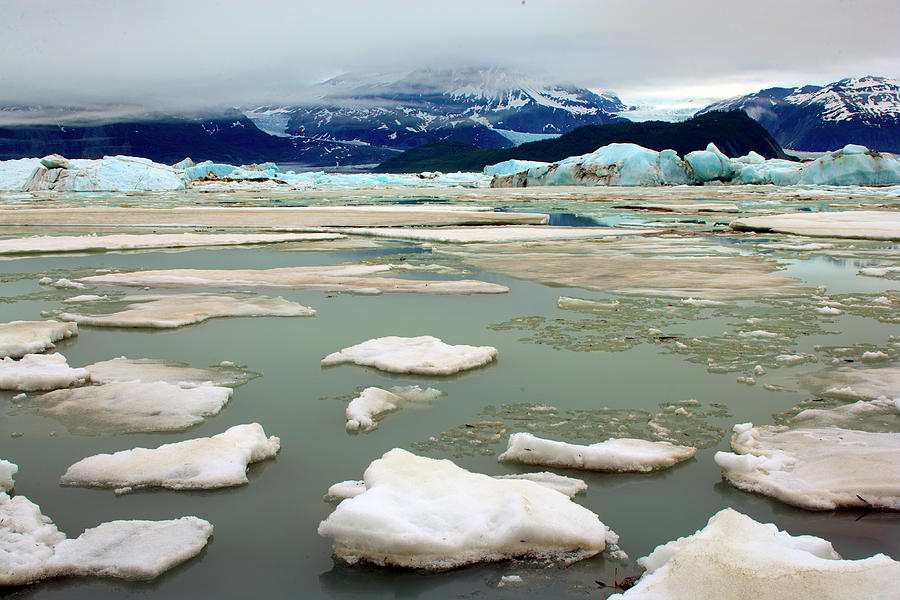 Alsek Lake Photograph by Glenn Oakley - Fine Art America