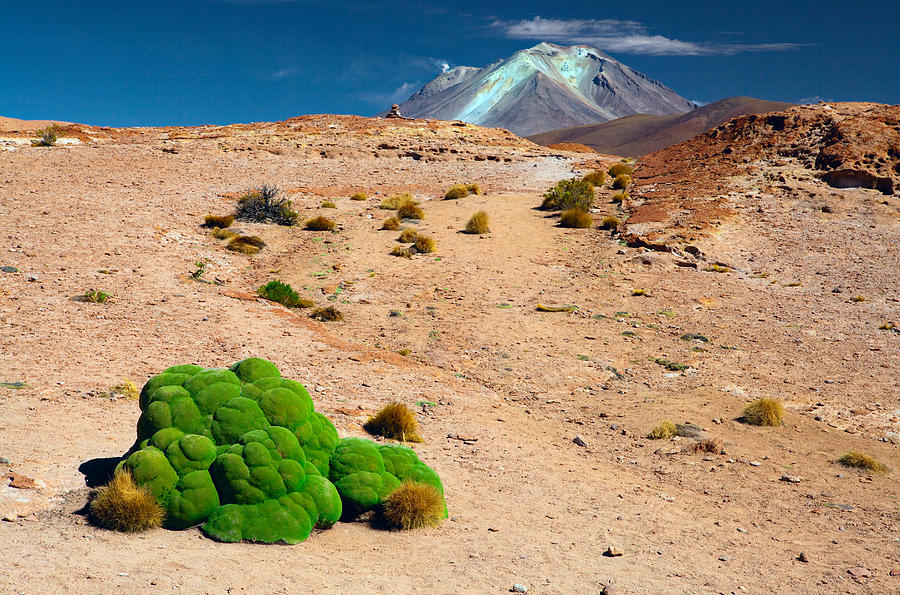 Altiplano Landscape Photograph by Dirk Ercken