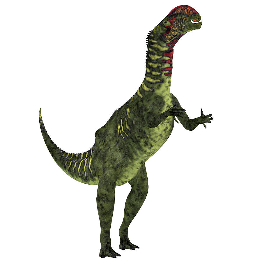 dinosaur with white head