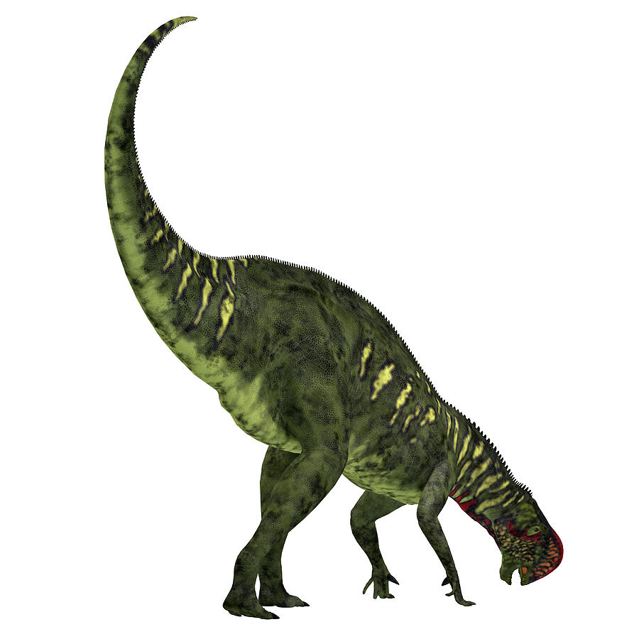 dinosaur with white head