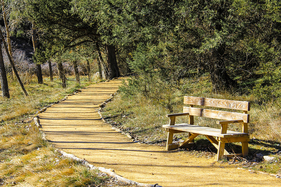 alto-en-el-camino-photograph-by-roberto-mateos-garcia-fine-art-america