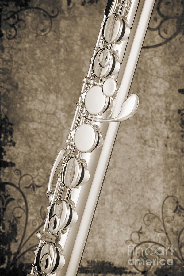 Alto Flute Music Instrument Photograph in Sepia  3402.01 Photograph by M K Miller
