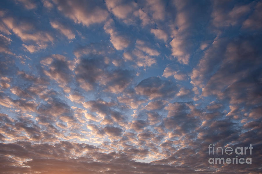 Altocumulus Clouds Photograph by Jim Corwin