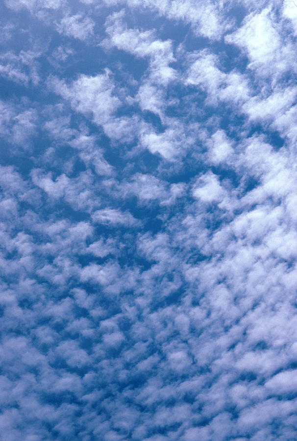 Altocumulus Floccus Clouds Photograph by A.b. Joyce - Fine Art America